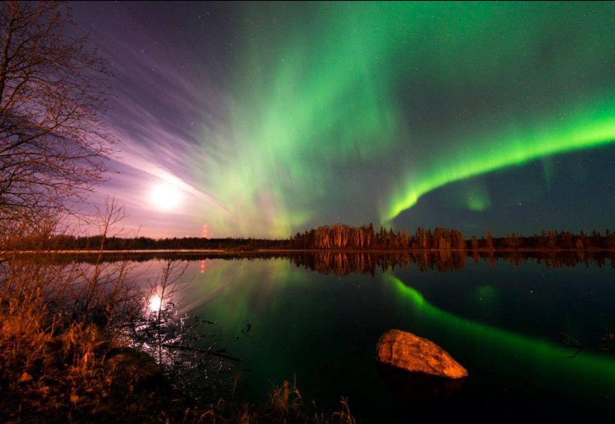 Aurore boréale verte au-dessus d'un lac et d'une forêt